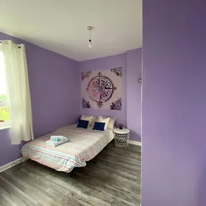 The Colour Flat Homestay