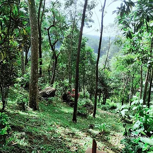  Hotel Royal Mount Sri Lanka